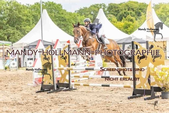 26-8-7 SPR A++-390 | mandyhollmannphotographie