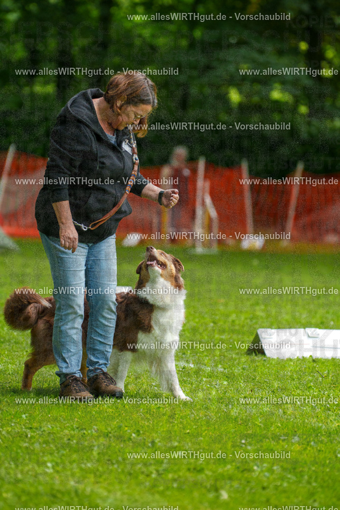 @allesWIRTHgut_Tierfotografie - www.allesWIRTHgut.de - 7R502584 | Professionelle Tierfotografie in Mönchengladbach von Daniel Wirth (allesWIRTHgut). Liebevolle & natürliche Bilder von Hunden & Katzen für unvergessliche Erinnerungen.