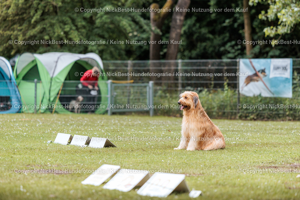RO-Blumenthal-2026-Nickbest-Hundefotografie-2580 | Dein Hund! Dein Moment! Deine Erinnerungen! Hundefotografie in Bremen Blumenthal. Ich fange die besonderen Momente deines Vierbeiners ein – ob Indoor mit Blitzanlage oder in der freien Natur. Sicher dir dein Moment und dein Termin für eure Erinnerungen.