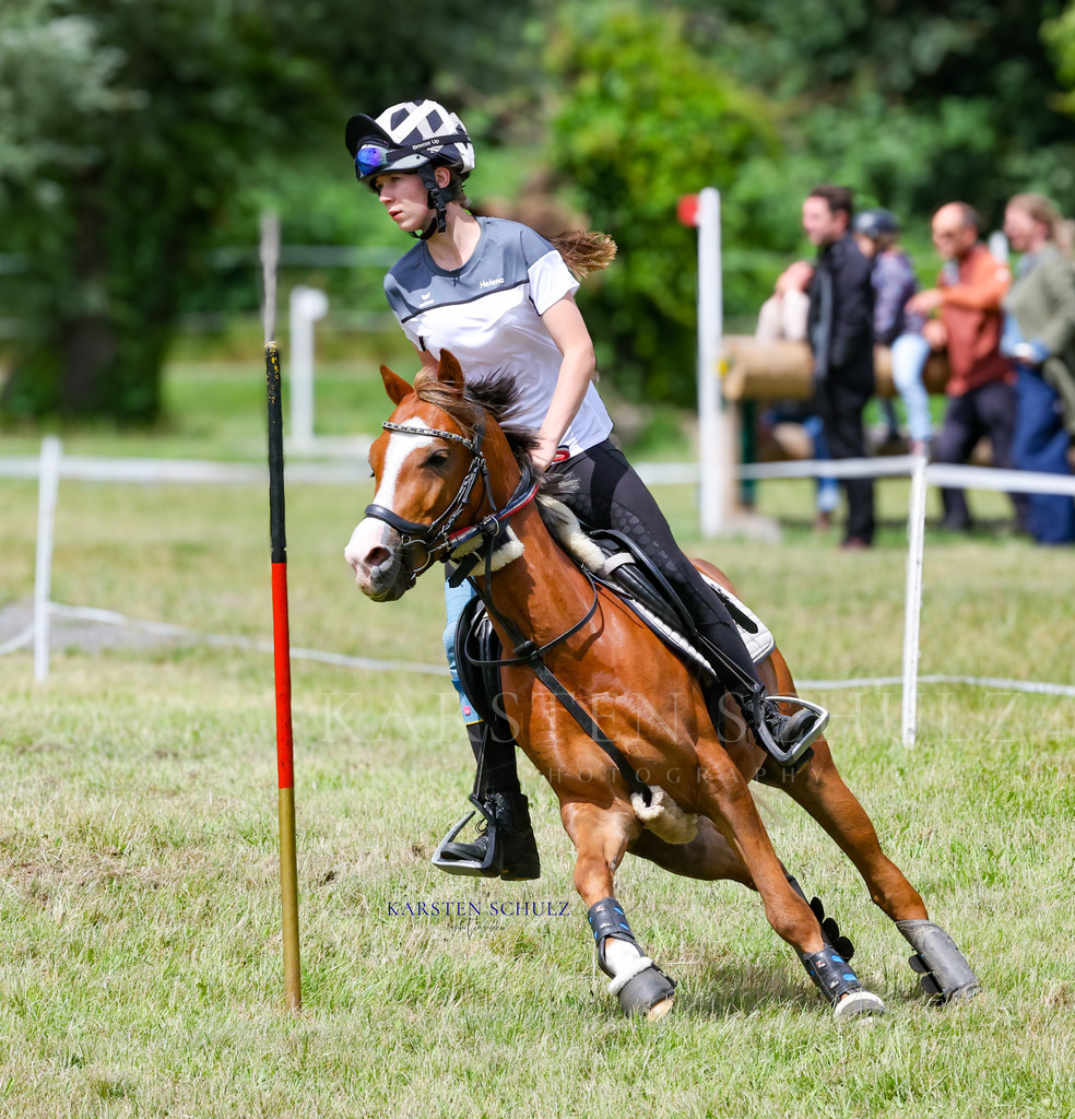 1B3A1171 | Reitsport Reiten
