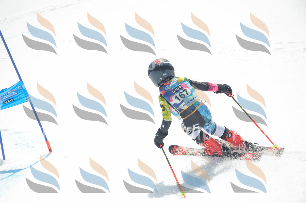 _ELE6513 | holidayphoto