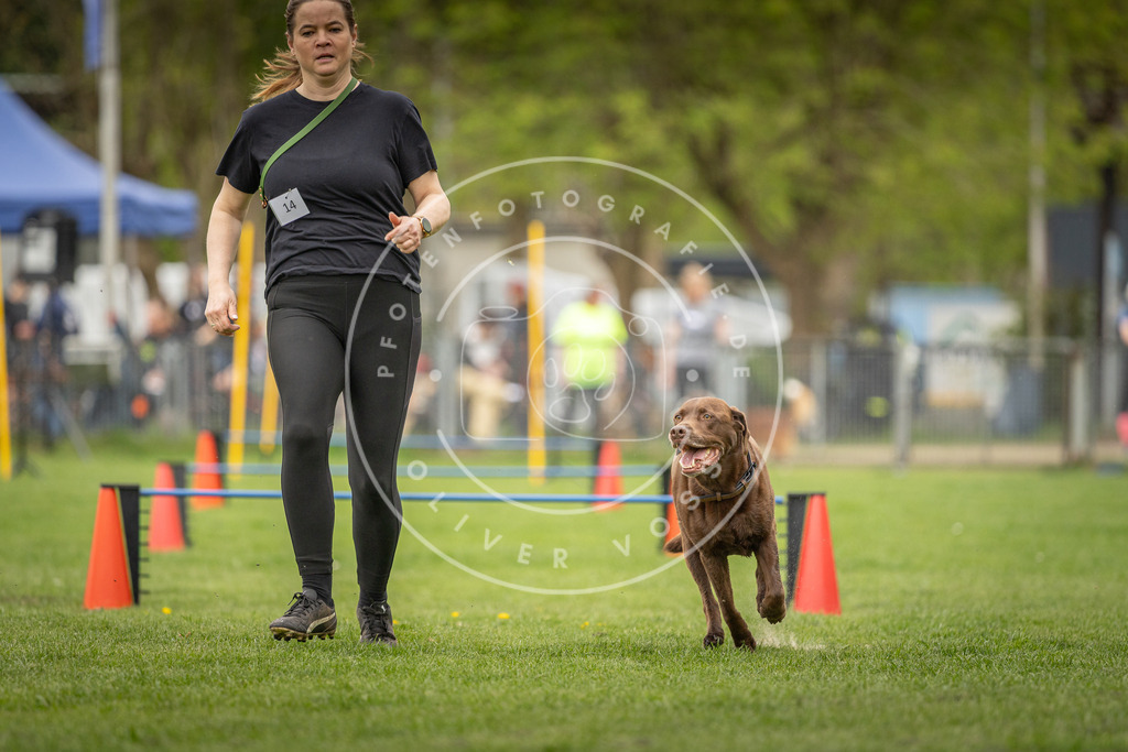 Pfotenfotografie_DV3A0473 | Hundefotografie, Tierfotograf, Pfotenfotografie, Fotoshooting Hund, Hunde Portrait, Hundesport, Hundeportraits, Heideshooting, Hunde, Sportfotograf, Hundefotograf, Turnierhundsport, THS,  - Realisiert mit Pictrs.com
