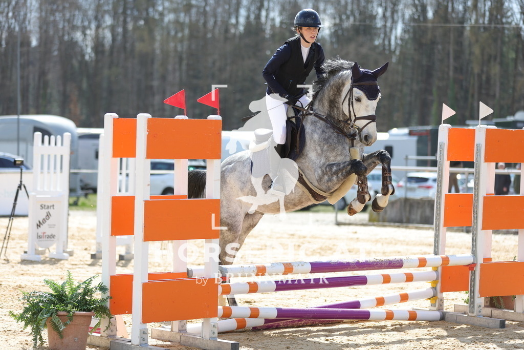 0P6A7323 | Willkommen bei Brunnmayr - Design & Fotografie – Ihrem Spezialisten für Reitturniere und Pferdeveranstaltungen in Oberösterreich, Salzburg und Bayern! Seit über 17 Jahren sind wir leidenschaftlich dabei.