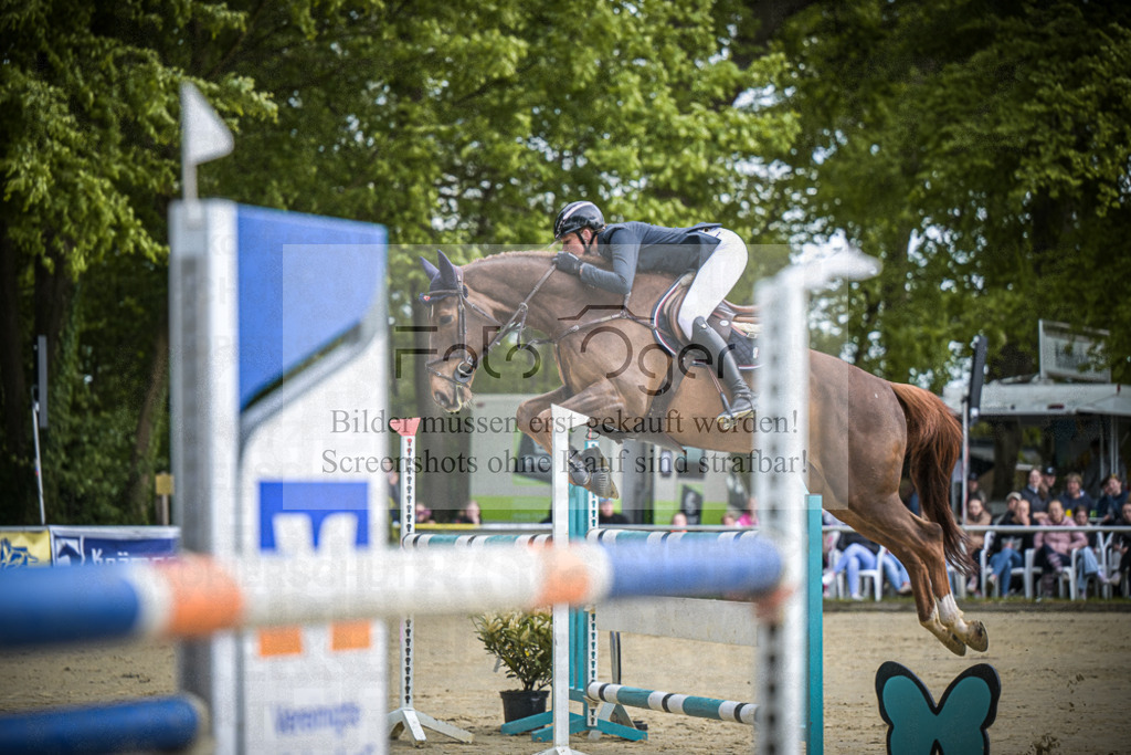 DOS_3038 | Entdecke hochwertige Reitturnierfotos von Foto Oger. Professionell, emotional und authentisch – jetzt Lieblingsmomente im Shop bestellen.Deutschlandweite Turnierfotografie. - Realisiert mit Pictrs.com