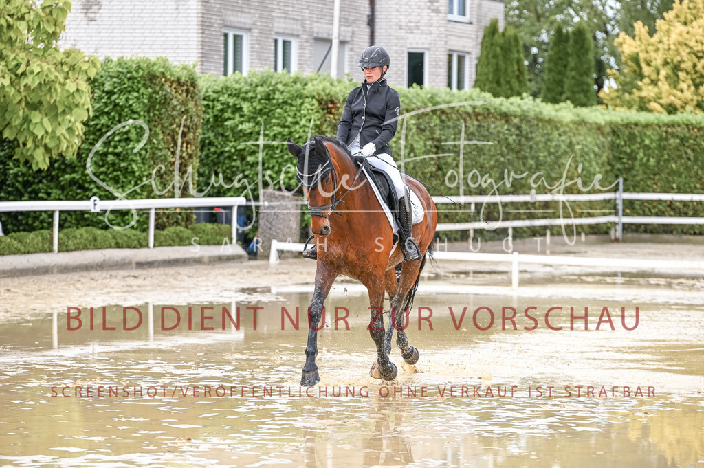 Schugtsche-Aluta25-54.Dressurprf.L1Trense-157 | Schugtsche Fotografie - Realisiert mit Pictrs.com
