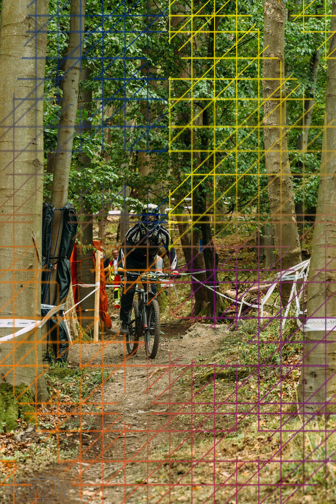 PAE-0315 | Einzigartige Fotokunst für dein Zuhause: Entdecke hochwertige Wandbilder, edle Prints und emotionale Motive von Wildlife, Natur und Landschaften - Realisiert mit Pictrs.com
