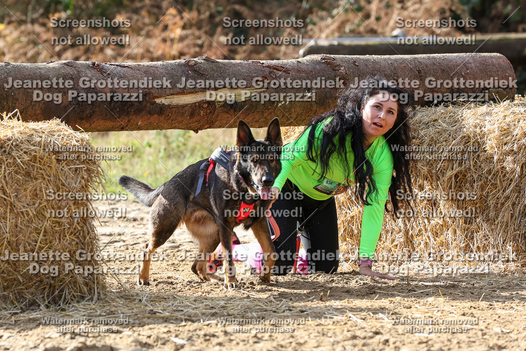 Dog Paparazzi - Strongdog 10-25-5869 | Dog Paparazzi Jeanette Grottendiek Fotografie & Videografie - Realisiert mit Pictrs.com