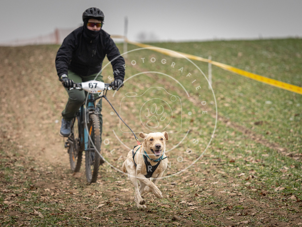 Pfotenfotografie_DV3A2946 | Hundefotografie, Tierfotograf, Pfotenfotografie, Fotoshooting Hund, Hunde Portrait, Hundesport, Hundeportraits, Heideshooting, Hunde, Sportfotograf, Hundefotograf, Turnierhundsport, THS,  - Realisiert mit Pictrs.com