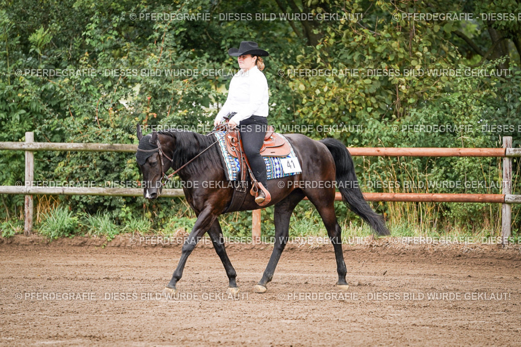 DSC05407 | Pferdegrafie