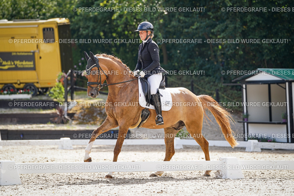 DSC07001 | Pferdegrafie