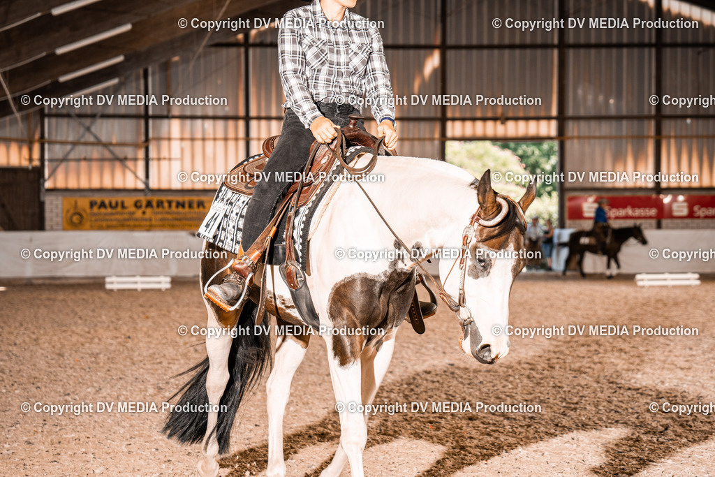 ZH100413 | dv-media-shop - Realisiert mit Pictrs.com