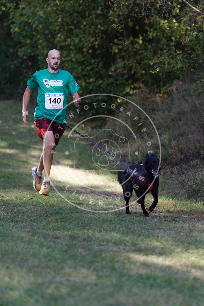 0L8A5153 | Hundefotografie, Tierfotograf, Pfotenfotografie, Fotoshooting Hund, Hunde Portrait, Hundesport, Hundeportraits, Heideshooting, Hunde, Sportfotograf, Hundefotograf, Turnierhundsport, THS,  - Realisiert mit Pictrs.com