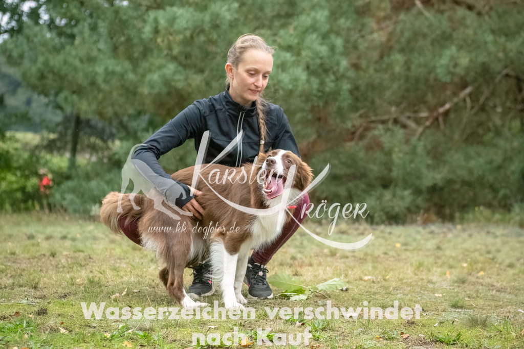 1017_ZZ91747-Bearbeitet | kk-dogfotos