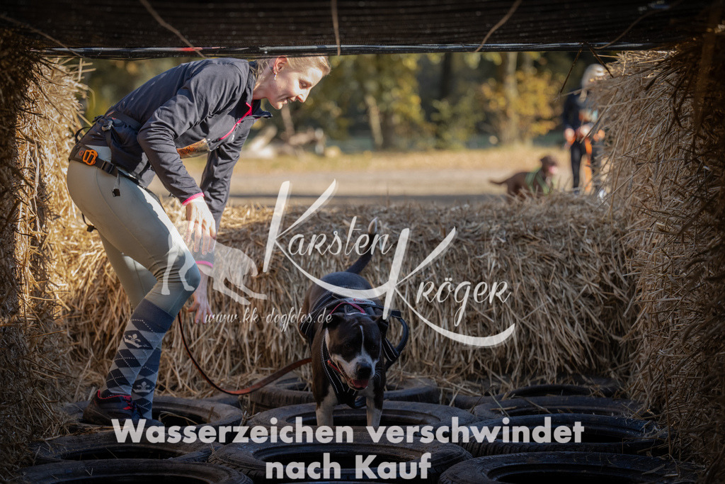 1111_ZZ90442 | kk-dogfotos