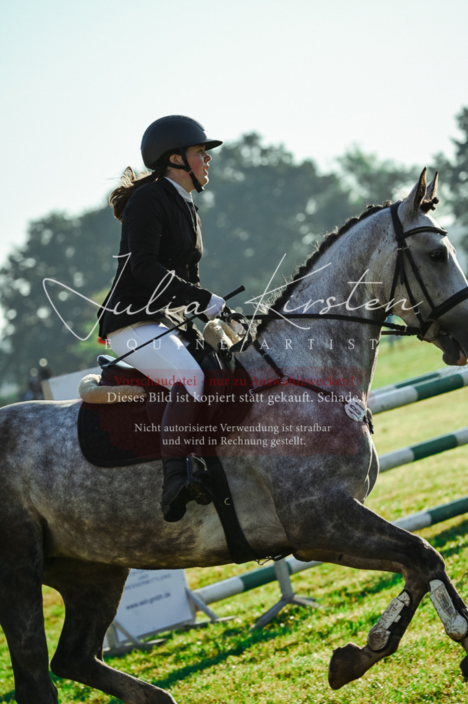 DSC_4154 | Pferde- und Turnierfotografie in Westsachsen. Pferdeportraits, Auftragszeichnungen und intuitive Kunst.