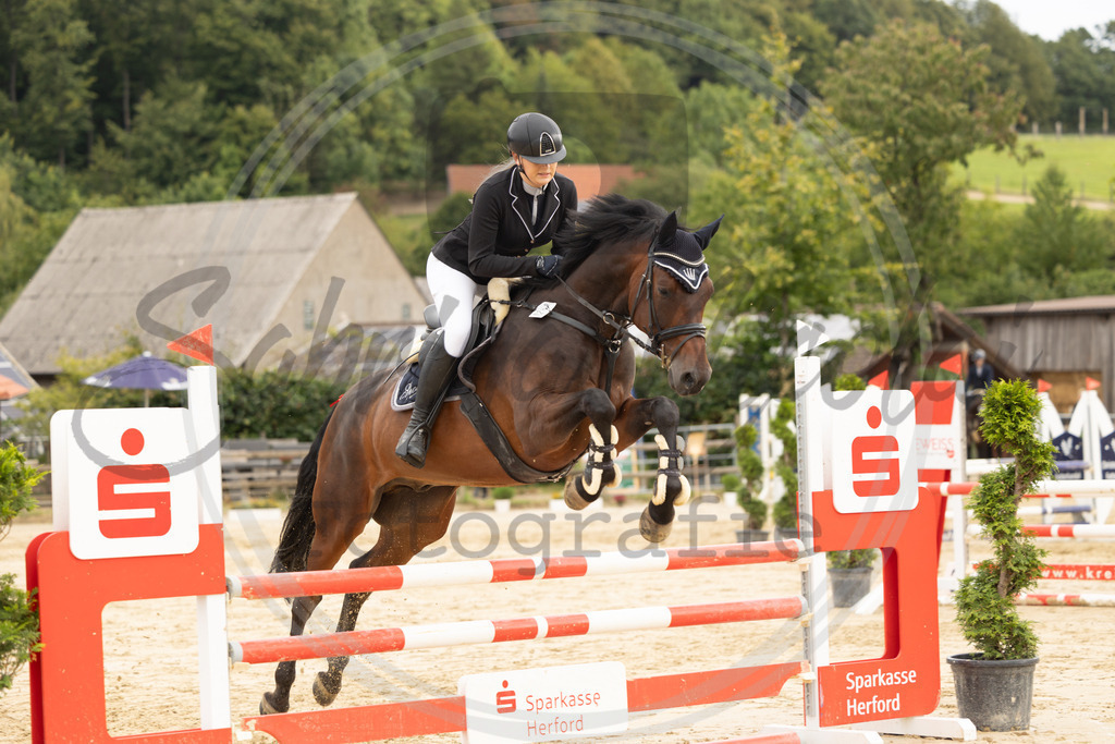 994A8761 | sabrinanicolaifotografie - Realisiert mit Pictrs.com