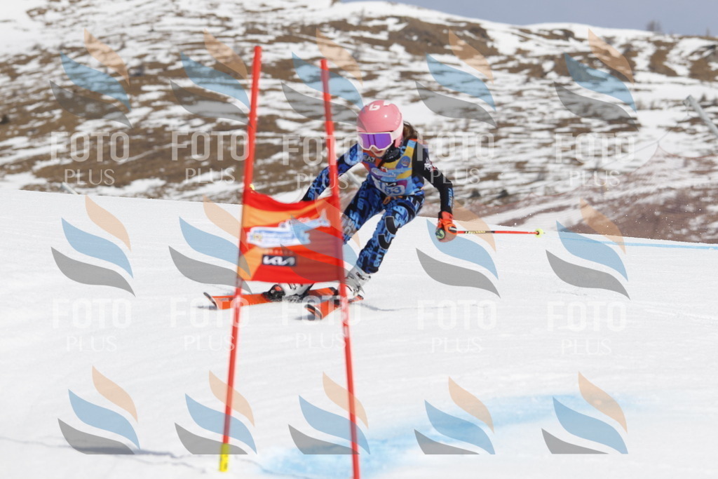 _U3G1782 | holidayphoto