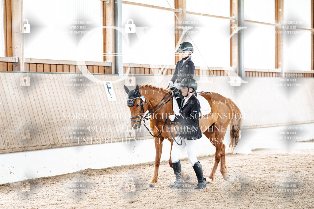 CK901794 | Turnierfotografie Pferdefotografie Trier Rheinland-Pfalz Pferdesport Reitsport Tierfotografie Sportfotografie Pferdevideo Pferdevideografie Equestrianvideography equestrianphotography  - Realized with Pictrs.com