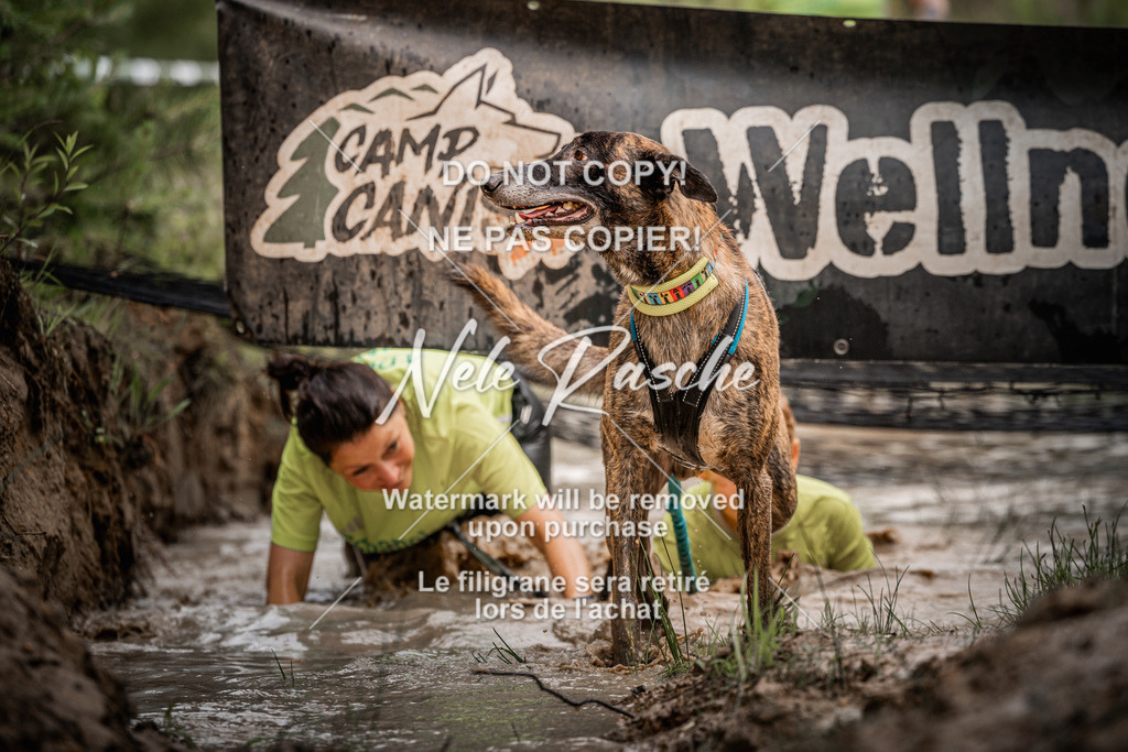 nelerasche_Hoope2026_Sa0900-0930_197 | nelerasche