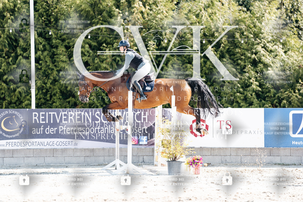 CK902312 | Turnierfotografie Pferdefotografie Trier Rheinland-Pfalz Pferdesport Reitsport Tierfotografie Sportfotografie Pferdevideo Pferdevideografie Equestrianvideography equestrianphotography  - Realisiert mit Pictrs.com