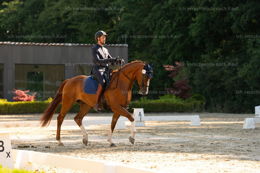 WA_DR_7_SinaFilmArt_IN00989 | working equitationturnier fotograf videograf stoibphotography marixx film working equitation deutschland reitsport turnierfotografie eventfotografie equestrian events