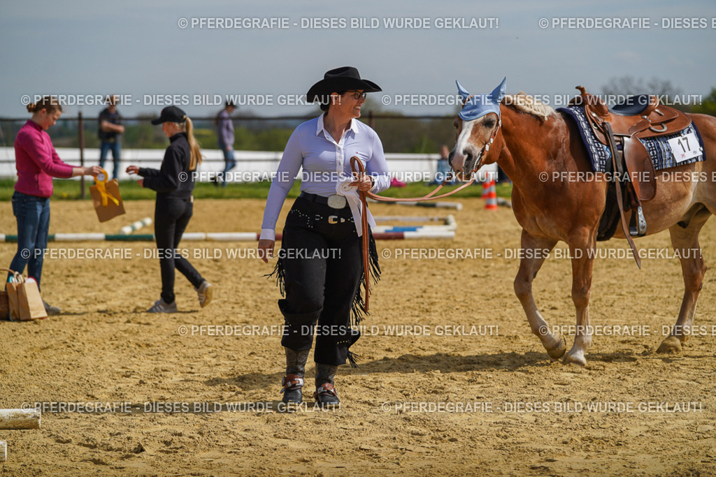 DSC04240 | Pferdegrafie