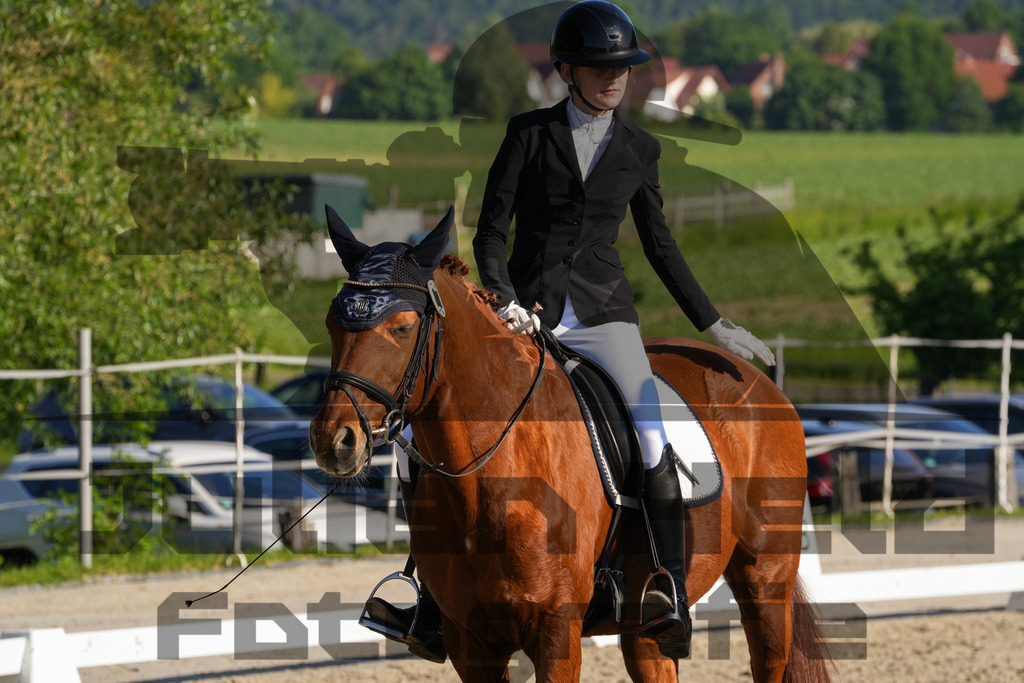 DSC02756 | Julian Held Fotografie - Realisiert mit Pictrs.com