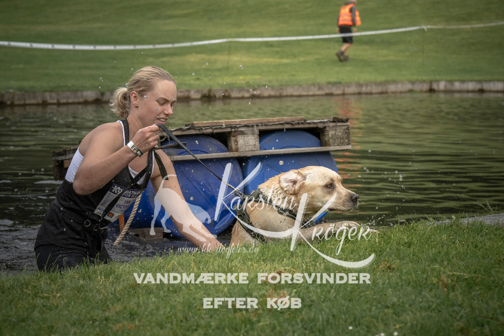 0804_ZZ90574 | kk-dogfotos