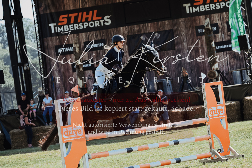 DSC_5768 | Pferde- und Turnierfotografie in Westsachsen. Pferdeportraits, Auftragszeichnungen und intuitive Kunst.
