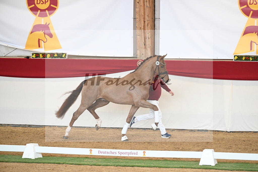 Kat.-Nr. 85 v. Vitalis_Wiens_2250784 | hf-fotografie - Realisiert mit Pictrs.com