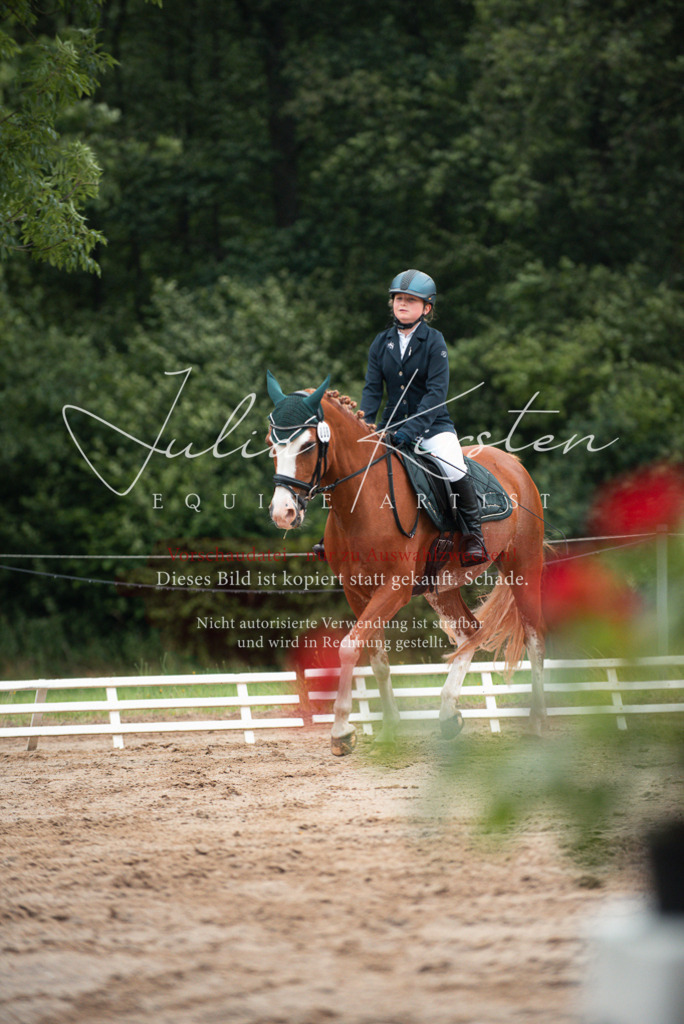 DSC_9632 | Pferde- und Turnierfotografie in Westsachsen. Pferdeportraits, Auftragszeichnungen und intuitive Kunst.