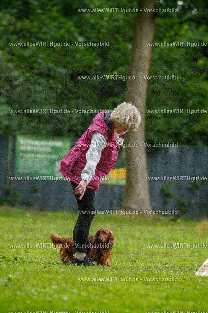 @allesWIRTHgut_Tierfotografie - www.allesWIRTHgut.de - 090855-7R506603 | Professionelle Tierfotografie in Mönchengladbach von Daniel Wirth (allesWIRTHgut). Liebevolle & natürliche Bilder von Hunden & Katzen für unvergessliche Erinnerungen.