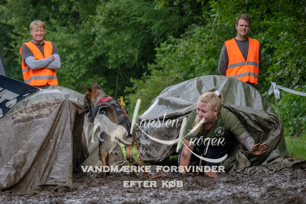 1736_ZZ92901-Bearbeitet | kk-dogfotos