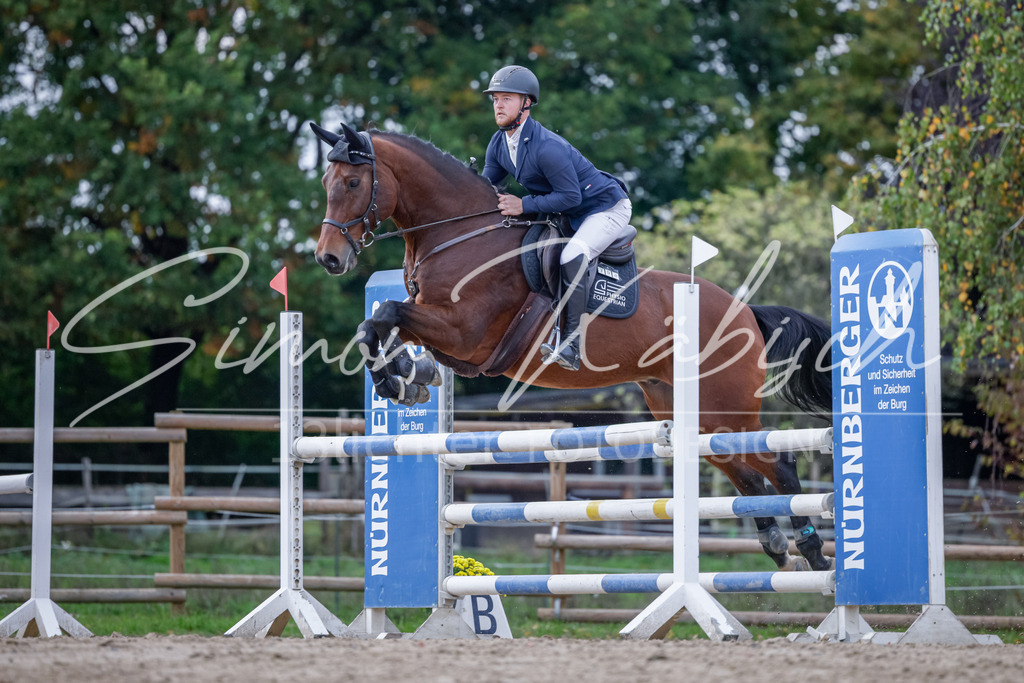 20251012-_3LI5262 | Tierfotografie Pferde, Hunde, Katzen, Haustiere.
Turnierfotografie Reitturniere, Reiten, Springreiten, Dressur in Hanau, dem Main-Kinzig-Kreis und dem Rhein-Main- Gebiet um Frankfurt