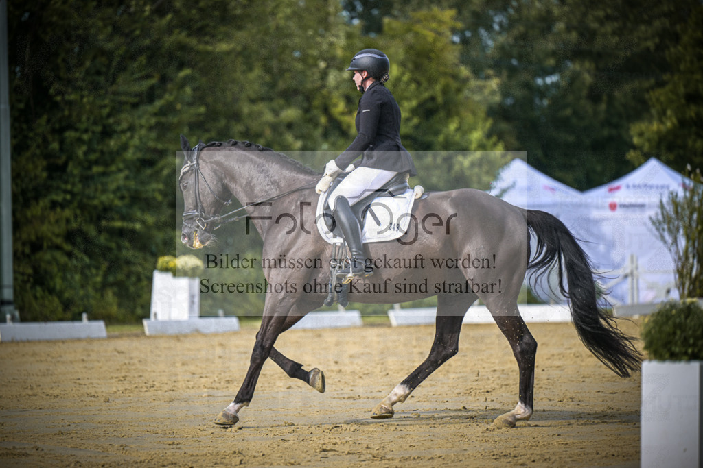 DOS_7963 | Entdecke hochwertige Reitturnierfotos von Foto Oger. Professionell, emotional und authentisch – jetzt Lieblingsmomente im Shop bestellen.Deutschlandweite Turnierfotografie. - Realisiert mit Pictrs.com