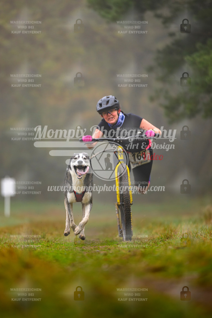 MompixPhotography_Bischwiller2025_Scooter-35 | mompixphotography