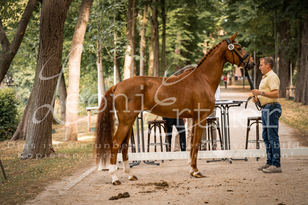 FrPfM00092 | Leoni Ertmer Photography - Realisiert mit Pictrs.com