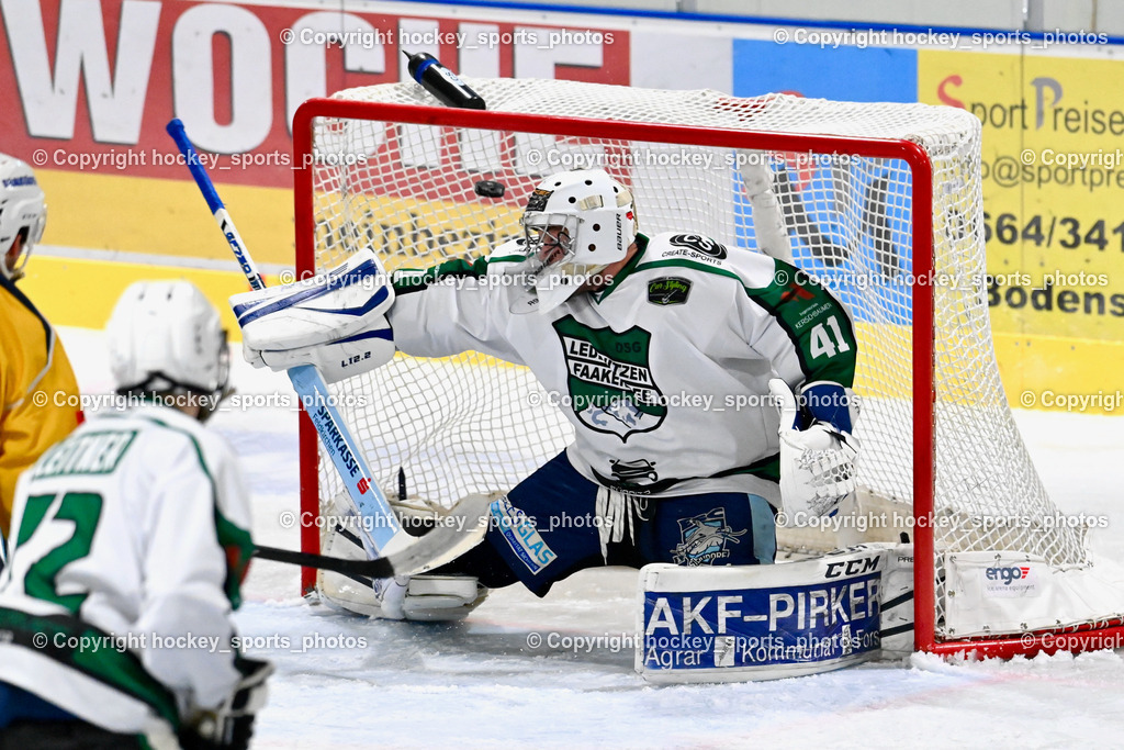 DSG Ledenitzen vs. ELV Zauchen 16.12.2022 | #41 Baumann Rene, Tor EVL Zauchen