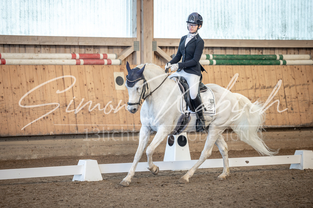 20251011-_3LI7132 | Tierfotografie Pferde, Hunde, Katzen, Haustiere.
Turnierfotografie Reitturniere, Reiten, Springreiten, Dressur in Hanau, dem Main-Kinzig-Kreis und dem Rhein-Main- Gebiet um Frankfurt