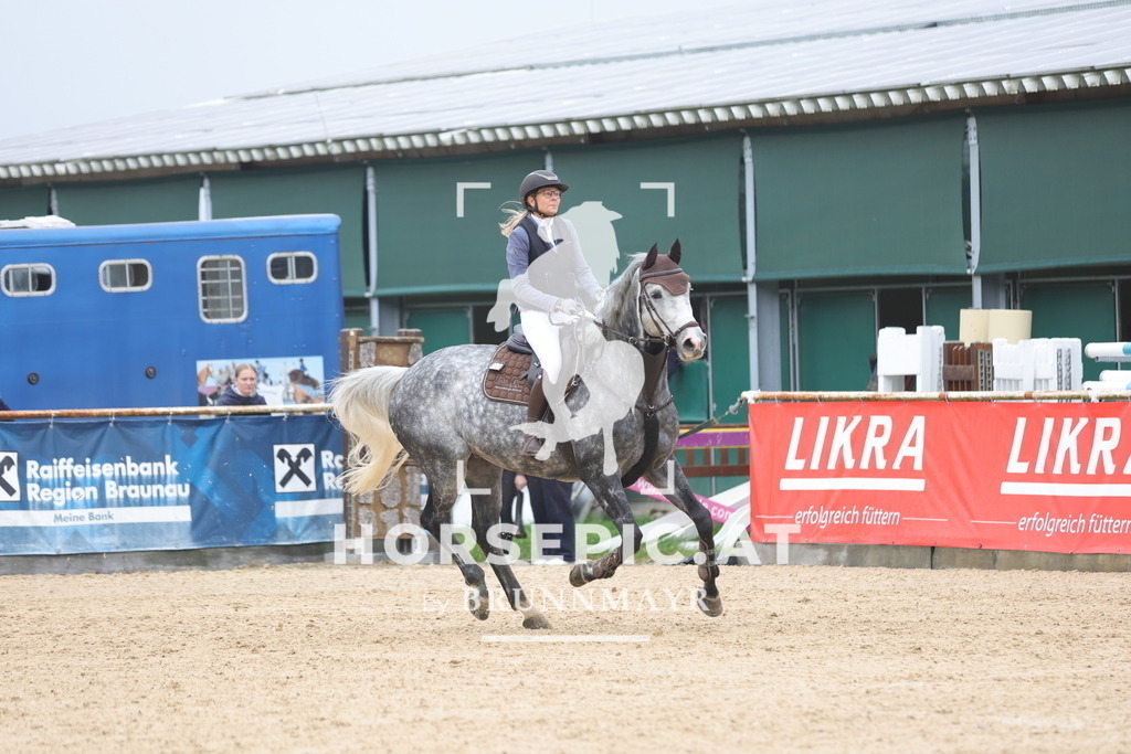 0P6A1380 | Willkommen bei Brunnmayr - Design & Fotografie – Ihrem Spezialisten für Reitturniere und Pferdeveranstaltungen in Oberösterreich, Salzburg und Bayern! Seit über 17 Jahren sind wir leidenschaftlich dabei.
