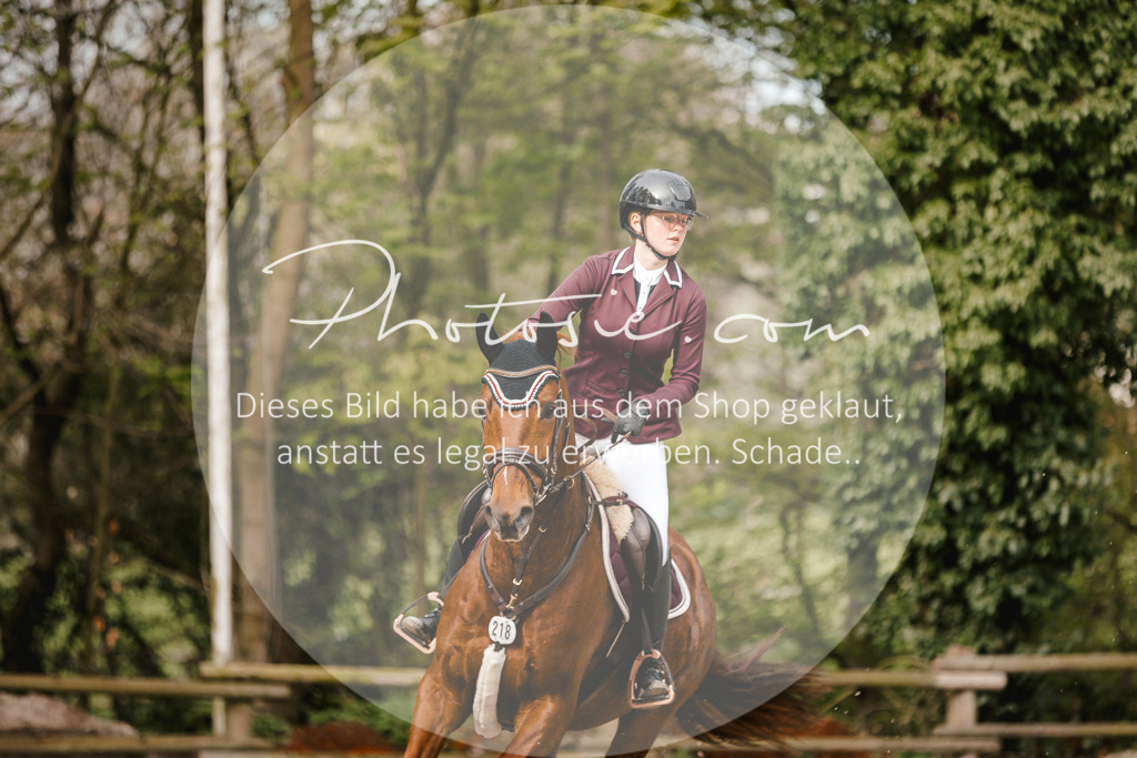 3I6A3209 | Stimmungsvolle Portraits und Reitsportfotografie im Ruhrgebiet und im Münsterland.

Pferdefotografie, Hundefotografie, Tierfotografie, Reportagen, Portraits von Tier und Mensch, Turnierfotografie in Bochum, Recklinghausen, Marl, Haltern am See, Dülmen.. - Realisiert mit Pictrs.com
