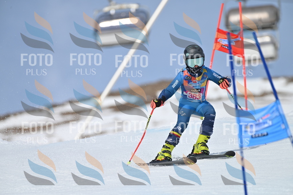 BGV_4231 | holidayphoto