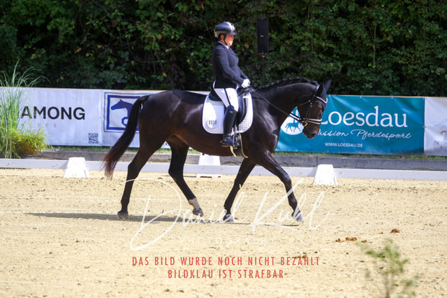 DKP41930 | Turniersportfotografie; Pferdefotografie; Dressurfotografie