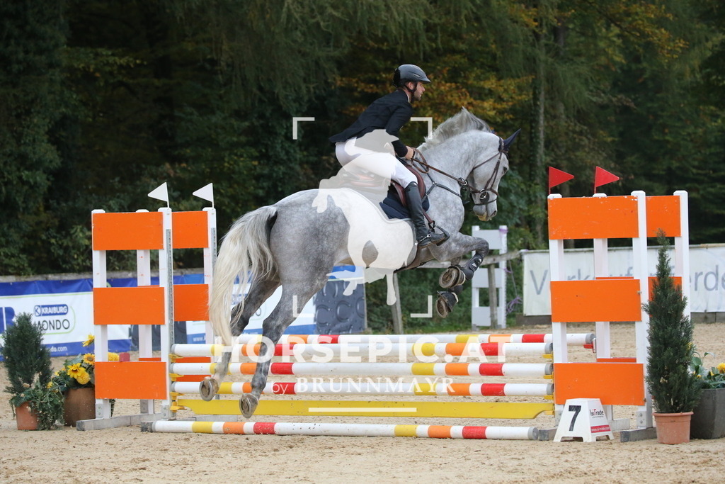 DL2Q3866 | Willkommen bei Brunnmayr - Design & Fotografie – Ihrem Spezialisten für Reitturniere und Pferdeveranstaltungen in Oberösterreich, Salzburg und Bayern! Seit über 17 Jahren sind wir leidenschaftlich dabei.