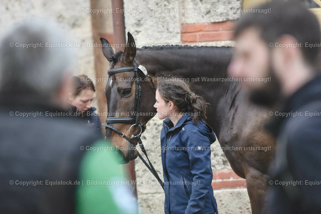 20230514_Impressionen_0146 | equistock