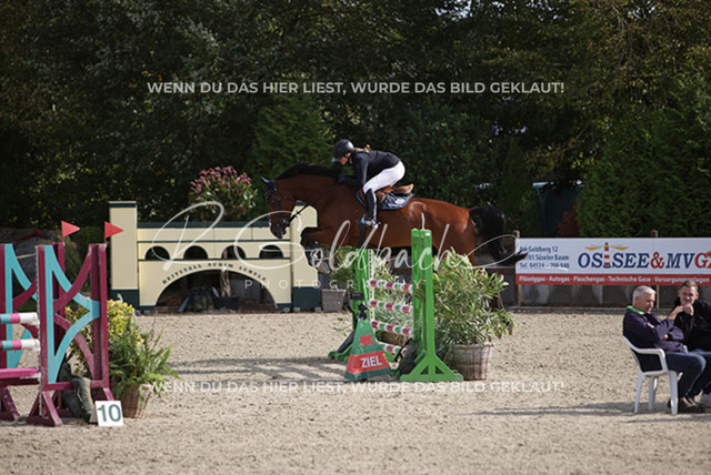 1J2A8943Pheline Ahlmann_ Ogano PB_ Kn816_ Havekost | Foto- und Videografie für alles rund ums Pferd. Hochwertige Bilder und Videos vom Spring- und Dressurreiten, Voltigieren & mehr. Jetzt aktuelle Veranstaltungen und Preise im Shop ansehen. - Realisiert mit Pictrs.com