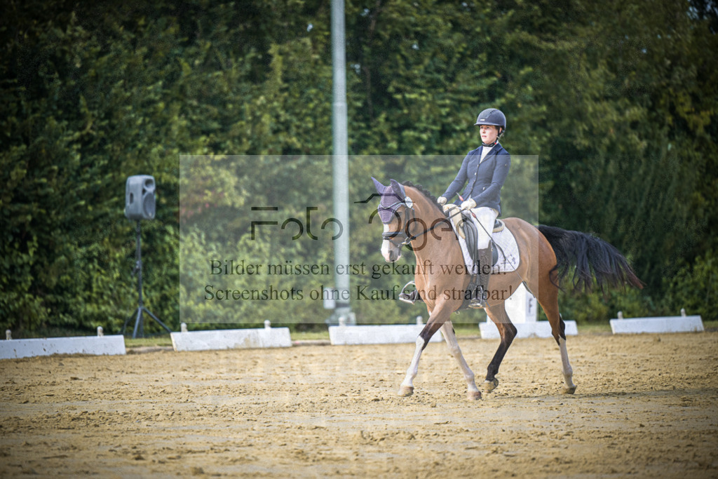 DOS_9024 | Entdecke hochwertige Reitturnierfotos von Foto Oger. Professionell, emotional und authentisch – jetzt Lieblingsmomente im Shop bestellen.Deutschlandweite Turnierfotografie. - Realisiert mit Pictrs.com