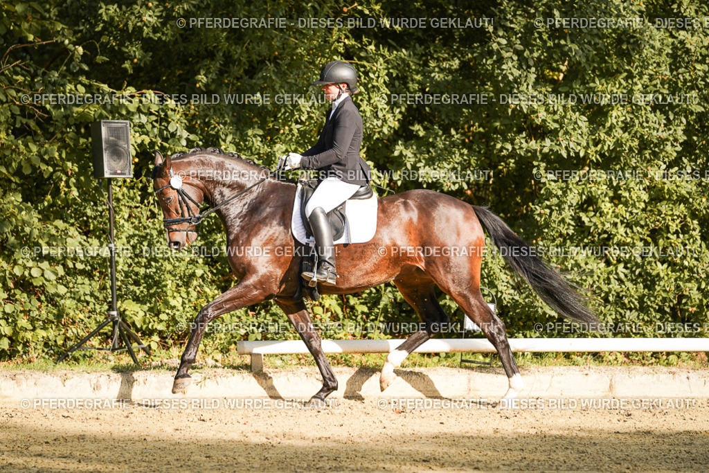 DSC05442 | Pferdegrafie