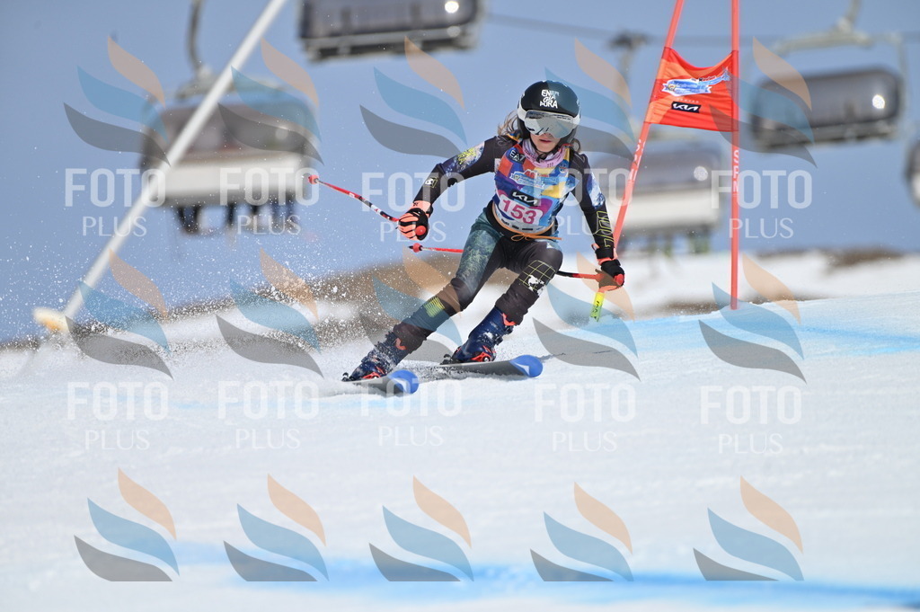 BGV_0096 | holidayphoto