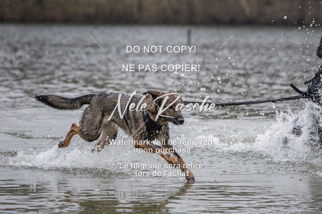 nelerasche_Hulsbeek_Sa1430-1515_599 | nelerasche